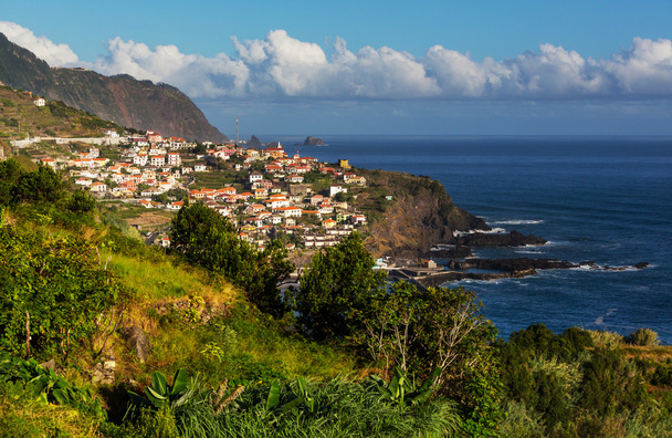Мадейра
 - Фото, зображення