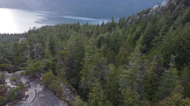 Widok ze szczytu góry na jezioro z lasem przed - Materiał filmowy, wideo