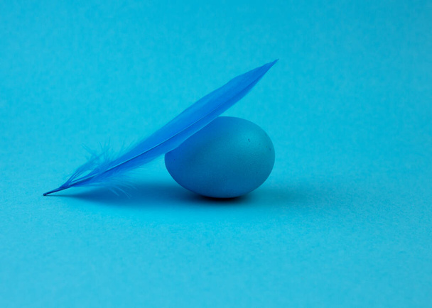 Пасхальное одноцветное яйцо и перо на синем фоне. С праздником Пасхи. Минимальная пасхальная концепция
. - Фото, изображение