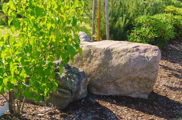 Krajobraz kamieni w Koknese w parku Ogród Destinies na Łotwie. - Zdjęcie, obraz