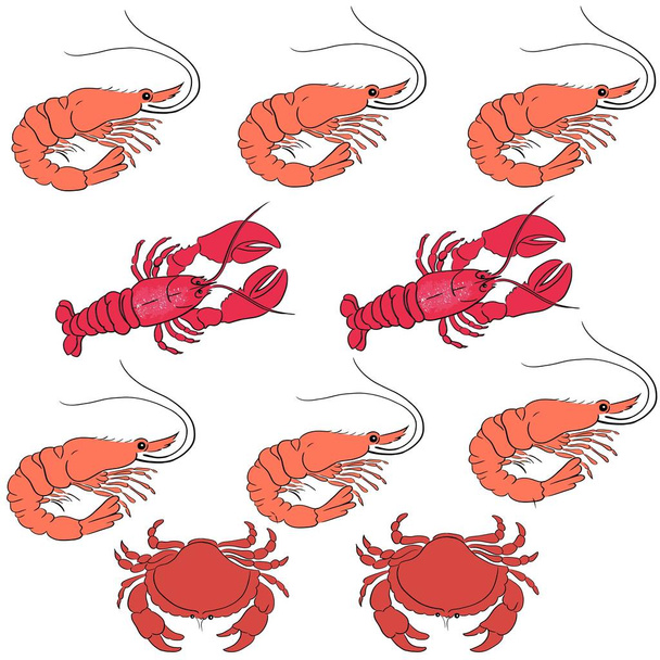 rote Garnelen, Hummer und Krabben Zeichnung Hintergrund Illustration - Vektor, Bild