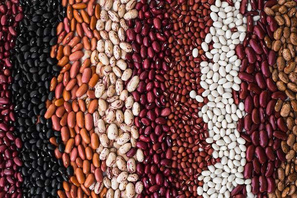 Different varieties of bean seeds. Beans background. - Photo, Image