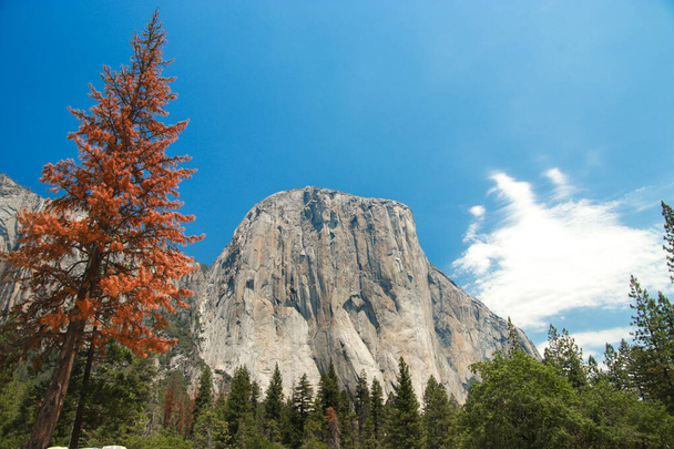 Rocas de granito El Capitán, conocido por sus impresionantes rutas de escalada, vista desde el valle de Yosemite, California, Estados Unidos. Cerca de lugares de interés: Vista del túnel, Half Dome, Bridalveil Falls, Horsetail Falls, Yosemite Falls
. - Foto, Imagen