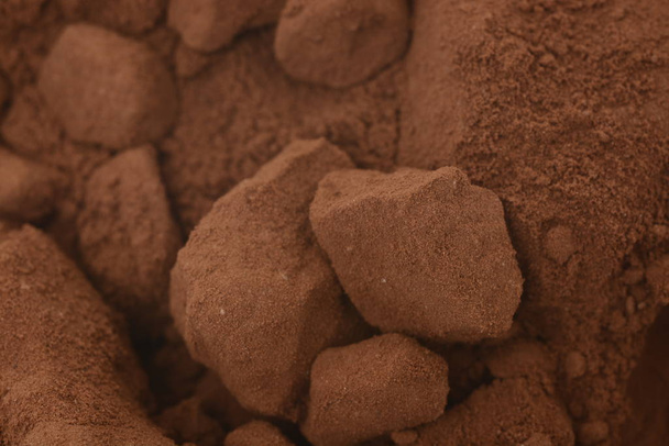 Cacao in polvere su fondo bianco
 - Foto, immagini