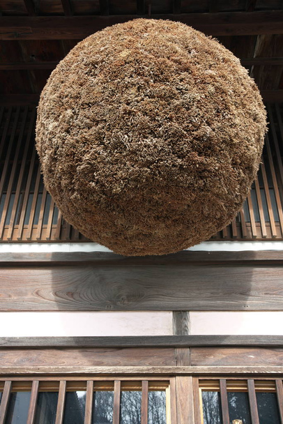 Yamanashi, Japão-22 de dezembro de 2019: Sugidama, bola feita de raminhos de cedro japonês, tradicionalmente pendurada no beiral de cervejarias sake
 - Foto, Imagem