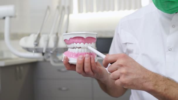 Primo piano del dentista maschio con modello di denti della mascella e spiegando qualcosa. Dimostrazione dell'igiene orale. - Filmati, video