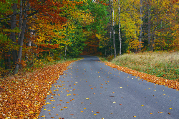 Autumn road - Fotó, kép