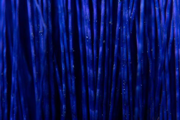 A texture consisting of dark blue in plastic twigs  - Foto, immagini