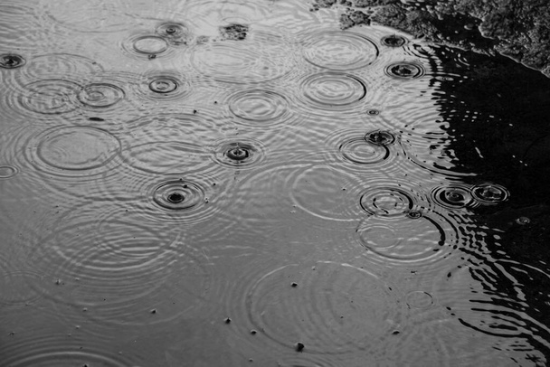 chuva caindo em uma poça no fundo, close up
 - Foto, Imagem