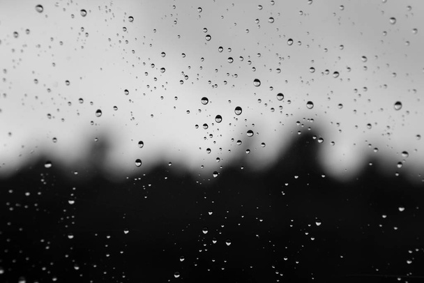 black and white portrait of drops of water falling from a window ,melancholia concept - 写真・画像