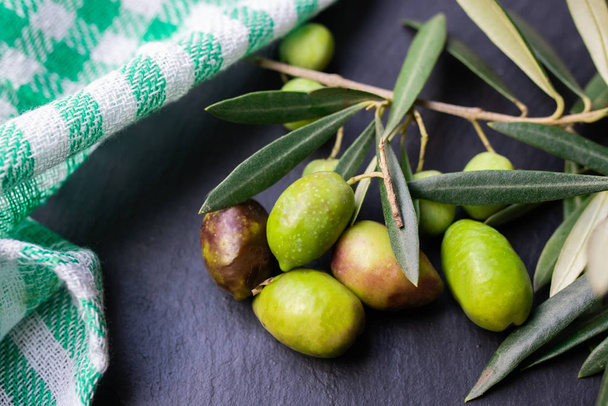 aceitunas naturales con hojas de olivo
 - Foto, Imagen