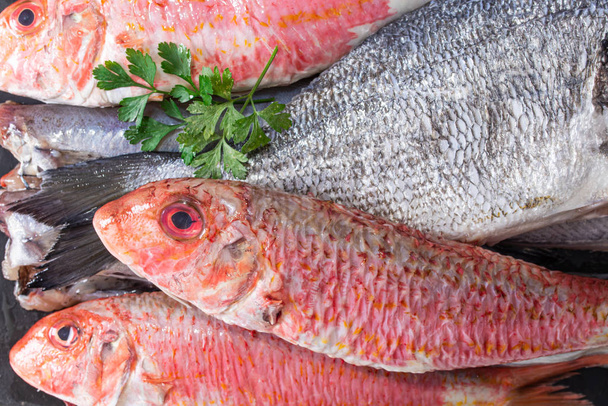 Taze balık, somon ve dorado 'nun arka planı - Fotoğraf, Görsel