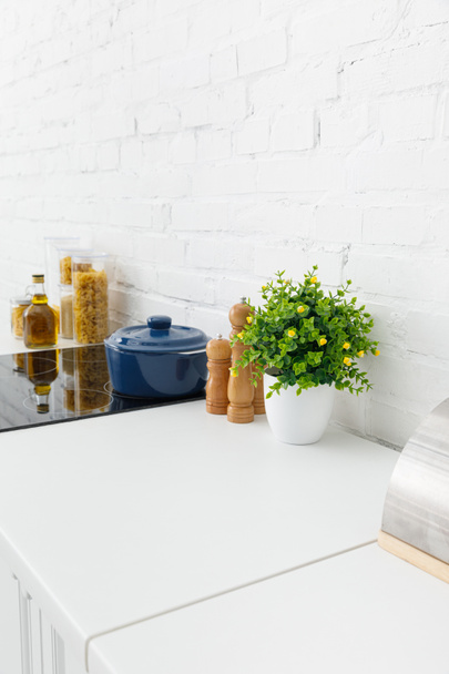 modern white kitchen interior with pot on electric induction cooktop near plant and food containers near brick wall - Fotografie, Obrázek
