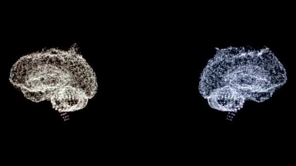 Vidéo 4k de deux modèles cérébraux abstraits en cours d'examen, tournant dans l'espace
. - Séquence, vidéo