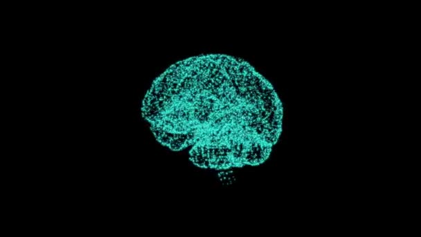 Concepto de función cognitiva. Holograma brillante del cerebro formado por diminutas partículas sobre la negrura
. - Metraje, vídeo