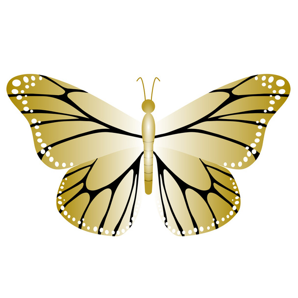 Красочная и яркая бабочка в полете
 - Вектор,изображение