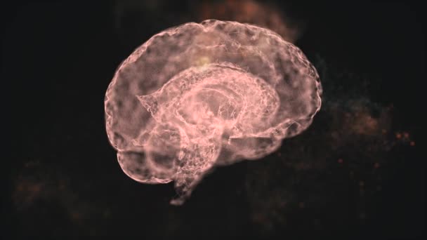 4k video van abstracte menselijke hersenen zweven in de ruimte en sommige elementen vliegen weg. - Video