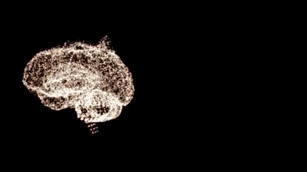 4k video of abstract human brain floating in space and some elements fly away. - Footage, Video