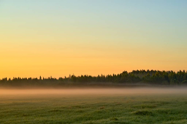 morning landscape of the nature - Foto, immagini