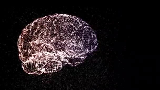 Esquema de vídeo 4k de cerebro colorido abstracto sobre fondo negro. Concepto de mente creativa
. - Metraje, vídeo