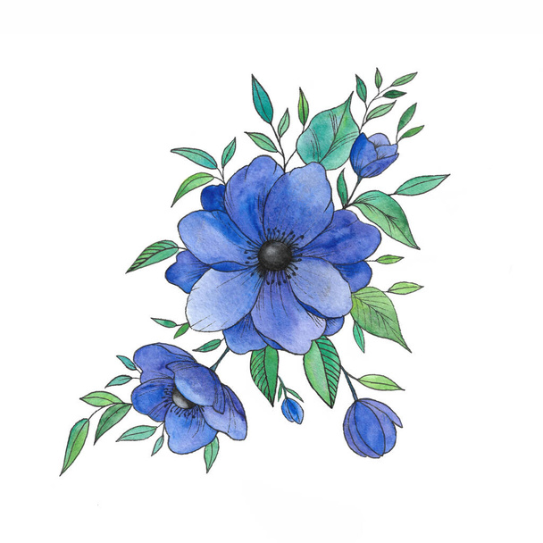 watercolor set of anemones, buds leaves a beautiful flower. Hand drawings flower and small details - Photo, image