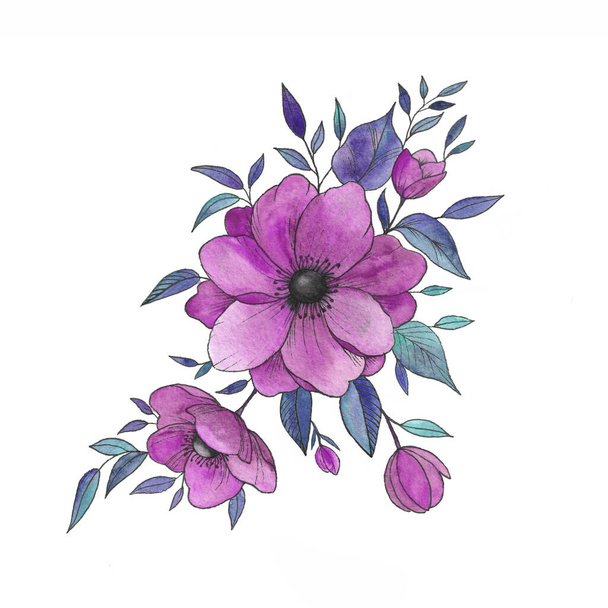 watercolor set of anemones, buds leaves a beautiful flower. Hand drawings flower and small details - Photo, Image