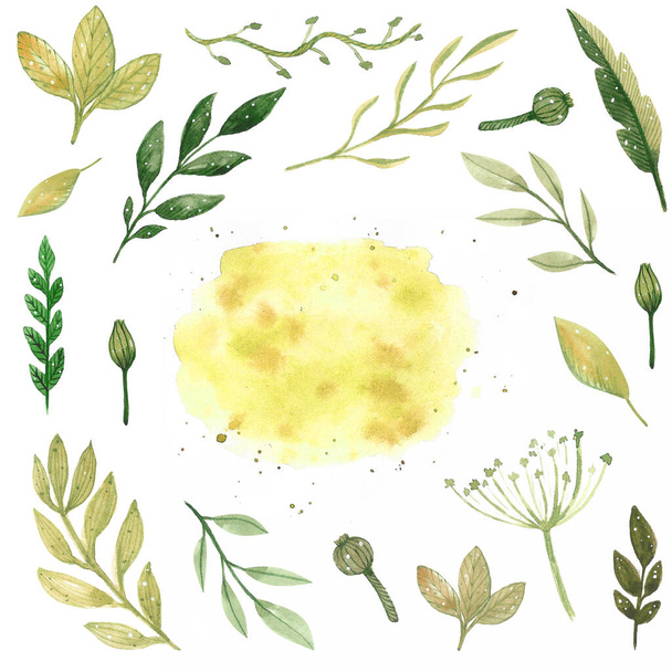 akvarell készlet sárga és zöld levelek, szív, csillagok, virágok, ágak és másolás tér elszigetelt fehér háttér - Fotó, kép