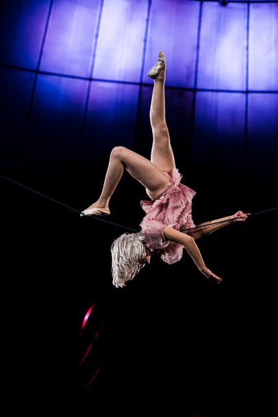 aantrekkelijke antenne acrobaat optreden in circus in de buurt van blauw licht  - Foto, afbeelding