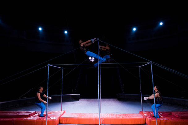 handsome gymnasts performing on horizontal bars in circus   - Photo, Image