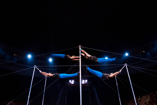 acróbatas de bajo ángulo de visión que actúan en barras horizontales en circo
   - Foto, Imagen