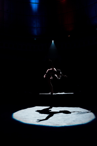 silhouette of aerial acrobat performing on rope in circus  - 写真・画像