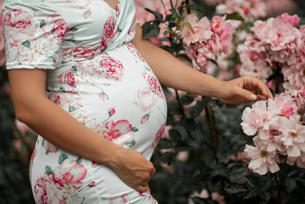 Крупный план. Красивая молодая беременная женщина гуляет в розовом саду. Портрет беременной женщины в платье. Лето
. - Фото, изображение
