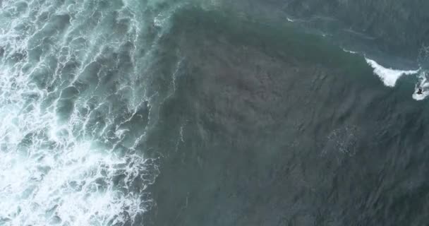 Filmati aerei di surfisti che navigano nell'acqua dell'Oceano Indiano
 - Filmati, video