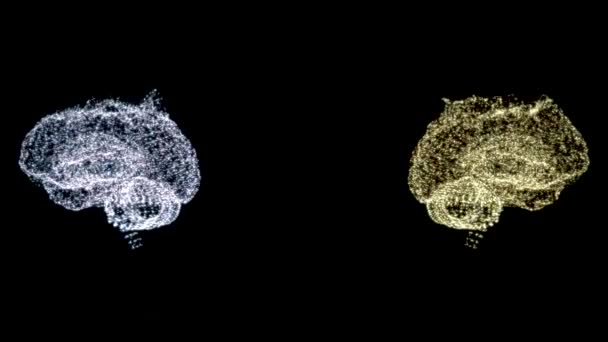 4k video de dos modelos cerebrales abstractos bajo examen, girando en el espacio
. - Metraje, vídeo