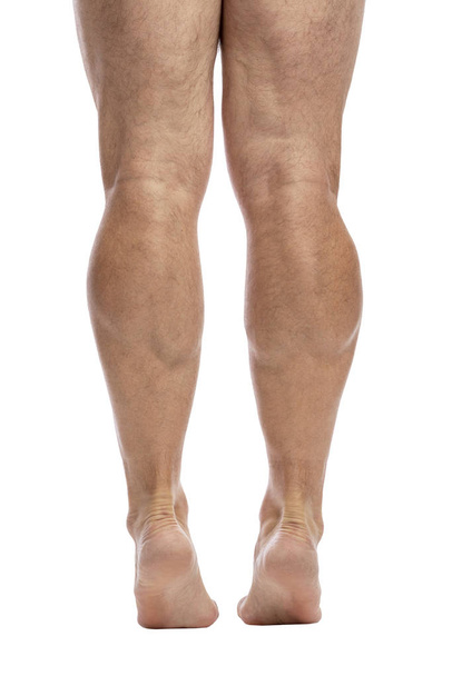 Men's legs to the knees. Back view. Isolated over white background. - Zdjęcie, obraz