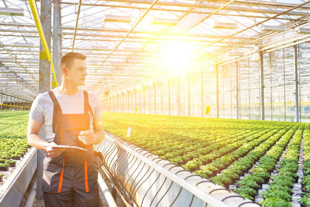 Portrait of scientist standing with clipboard amidst herbs in greenhouse - Foto, Imagem