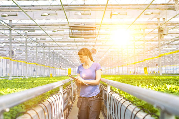 Portrait of young female botanist standing with clipboard in plant nursery - Fotoğraf, Görsel