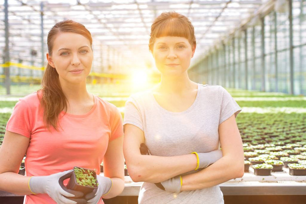 Portrait of confident young female botanist standing with arms crossed against herbs in greenhouse - Photo, Image