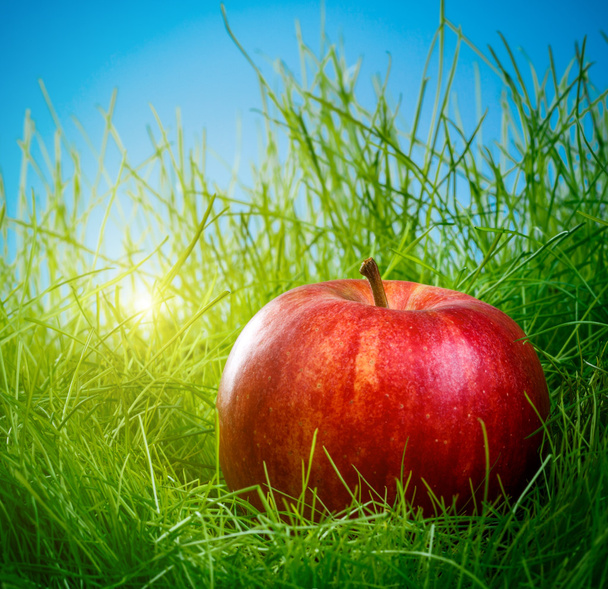 Apple on the grass - Valokuva, kuva