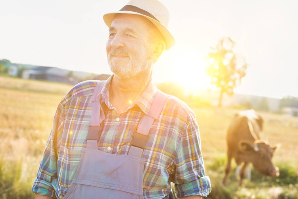 Portrait of senior farmer standing against cow on field at farm - Valokuva, kuva