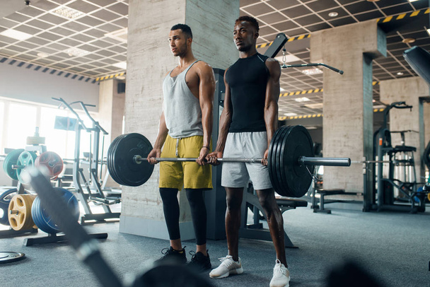 Два мускулистых человека позируют с тяжелой штангой на тренировке в спортзале. Тренировки в спортивном клубе, здоровый образ жизни
 - Фото, изображение