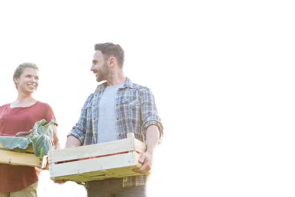 Happy couple talking while holding vegetable crates at farm - Foto, Imagen