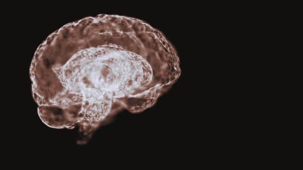 Pszichológiai fogalom. Videó nézet az emberi agy szerkezetét alkotó elvont tér köd. - Felvétel, videó