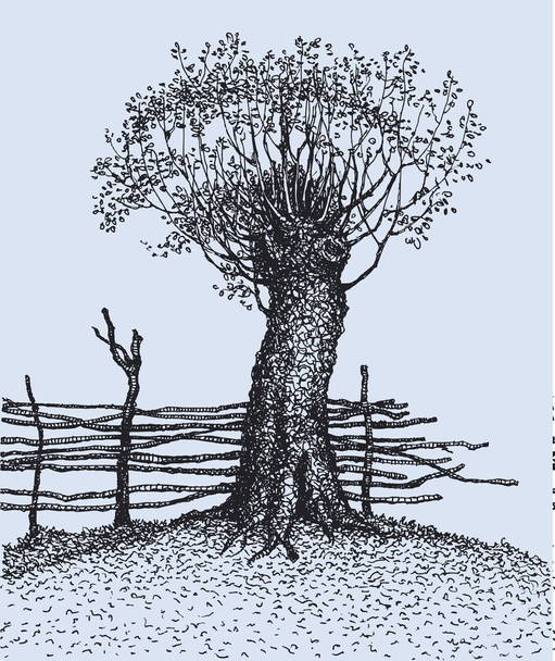 Velha árvore perto da cerca
 - Vetor, Imagem