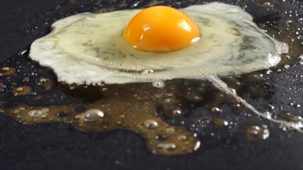 The egg is fried in a pan in melted butter - Materiaali, video