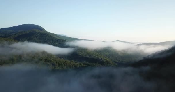 vuelo aéreo épico sobre nubes niebla bosque
 - Imágenes, Vídeo