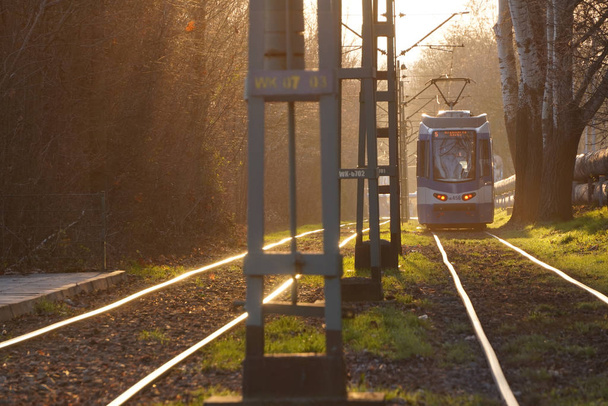 τραμ της πόλης στις ακτίνες του ηλιοβασιλέματος μαλακό φωτεινό πίσω φως ήλιο, λάμψη στα καλώδια, τραμ και ράγες. Φως στο πλαίσιο. σιδηρόδρομος στο περιβάλλον της πόλης Πάρκο κοντά στο δάσος, ράγες στο Gras - Φωτογραφία, εικόνα