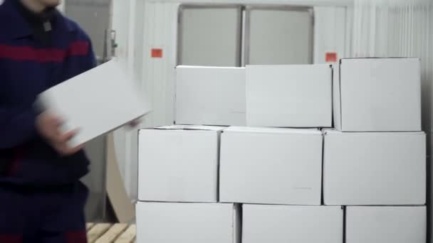 De fabrieksarbeider draagt de kartonnen dozen gevuld van de transportband en legt ze op elkaar - Video