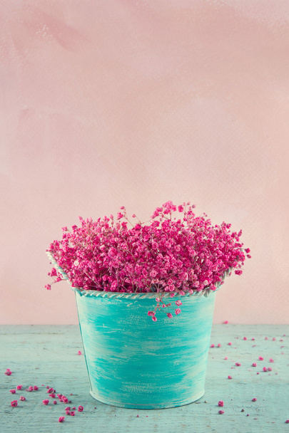 Mavi bir vazoda karanfil çiçek - Fotoğraf, Görsel