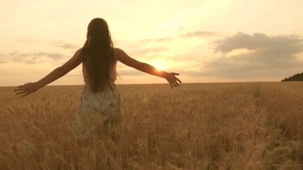 Mutlu bir kız sarı buğday alanı boyunca yürüyor ve kendi elleriyle buğday kulaklarına dokunur. Yavaş hareket. Kız sahada seyahat ediyor. Eko-turizm konsepti. - Video, Çekim